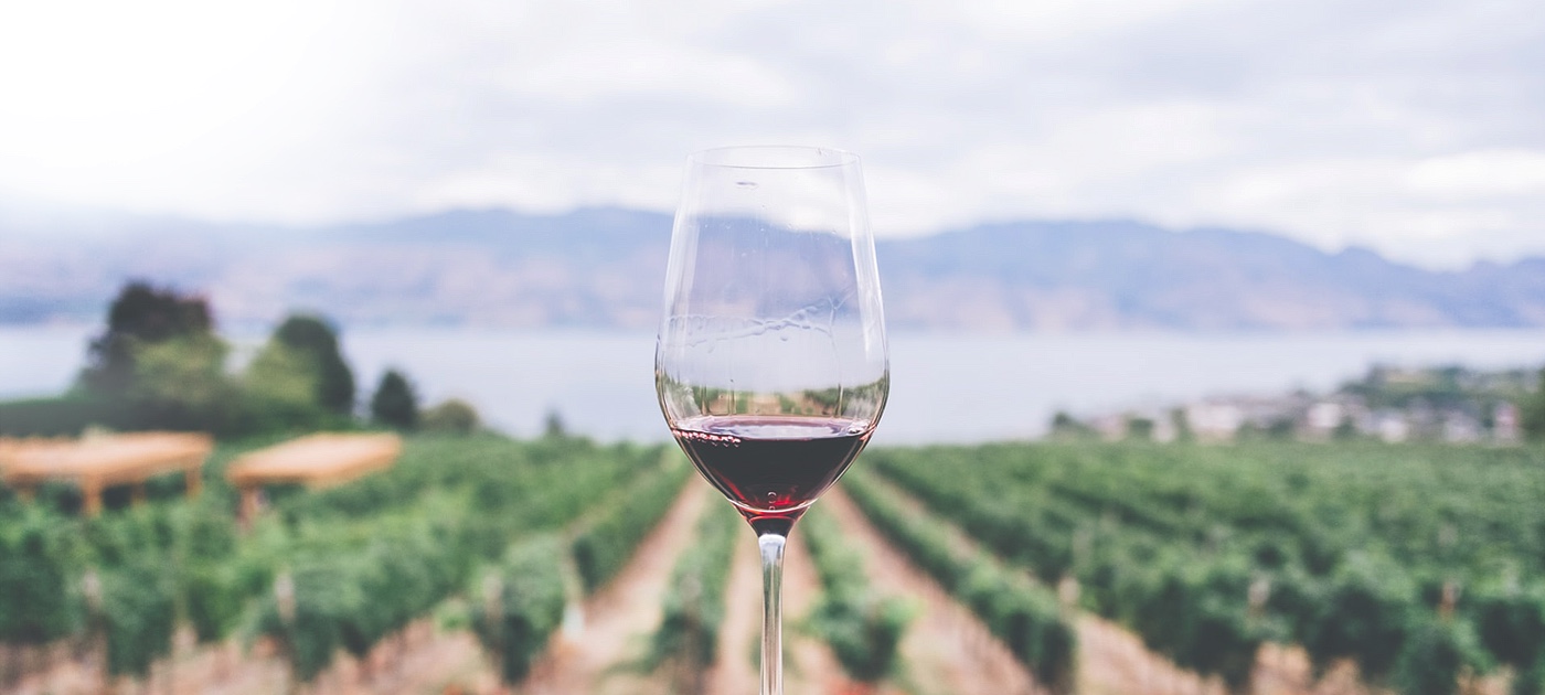 Image de l'évenement EthicDrinks démarre en fanfare sur Ulule