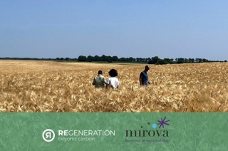 Mirova investit 10 millions d’euros dans ReGeneration pour soutenir l’agriculture régénératrice