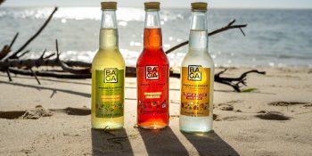 Baga et ses boissons au CBD lancent leur campagne de crowdfunding