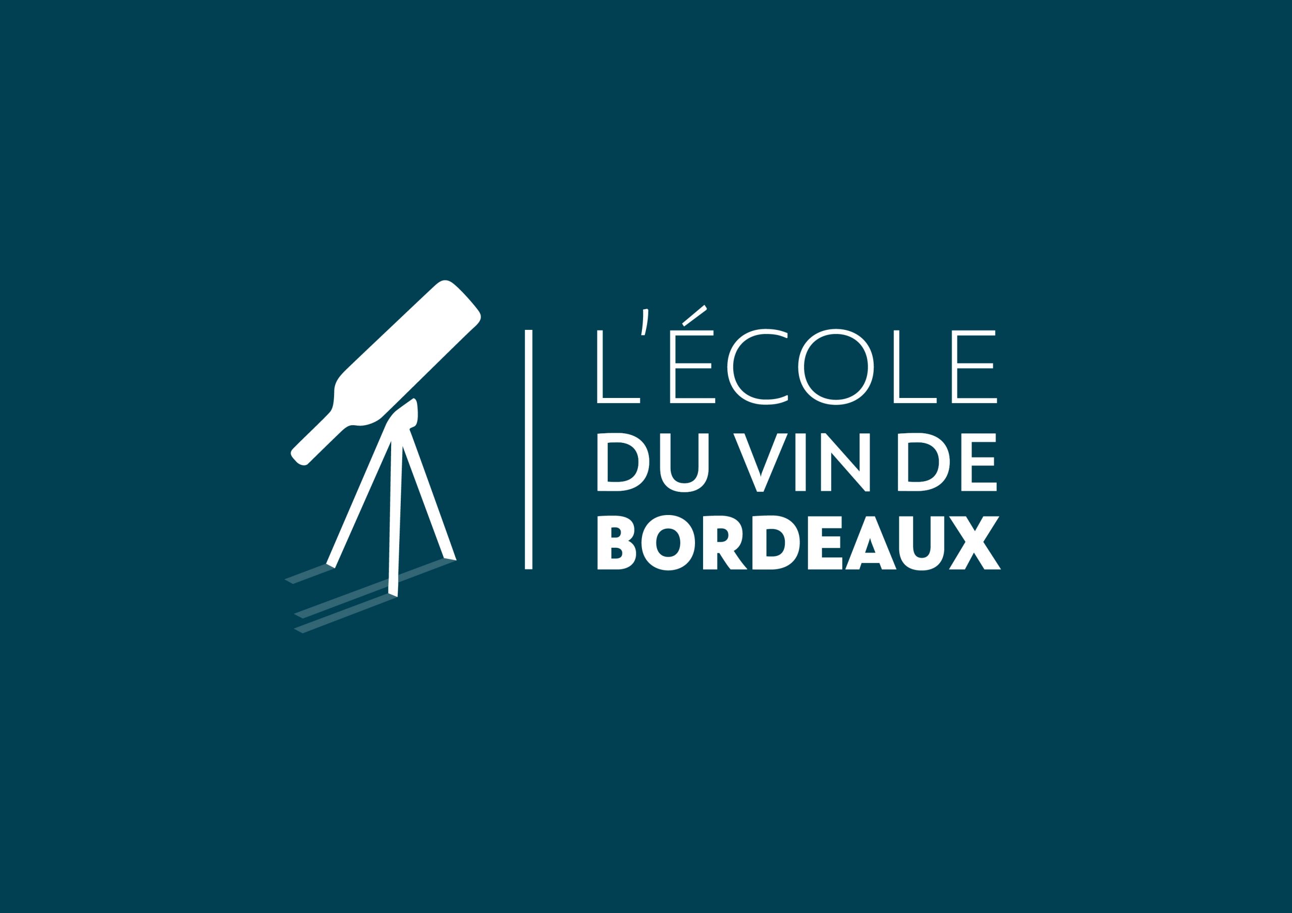 Alternance Marketing Digital di Bordeaux: Menggali Potensi Kota Anggur dan Inovasi Digital