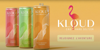 Kloud lance ses boissons innovantes au CBD